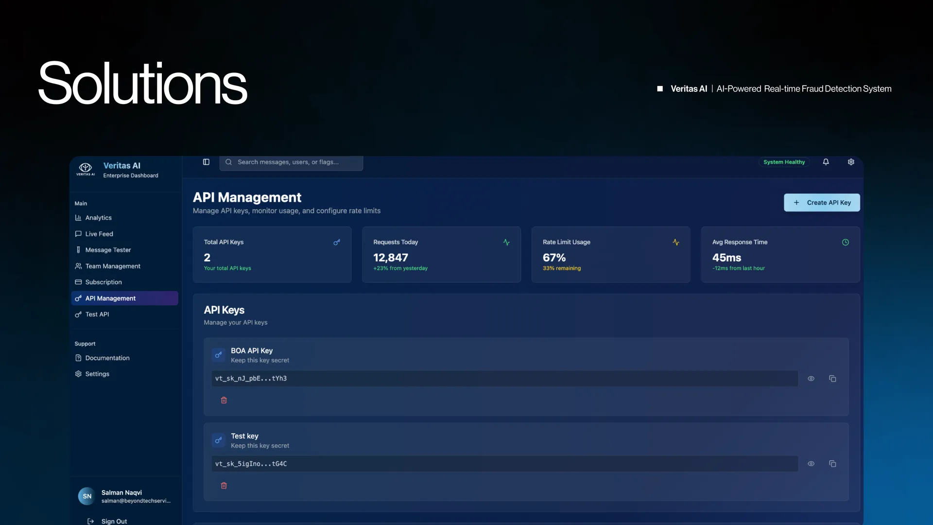 Veritas AI — Real-Time Fraud Detection SaaS — product view 4